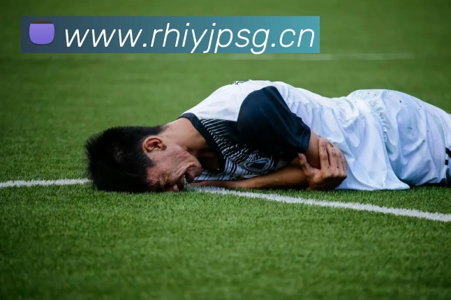 App Interface Preview